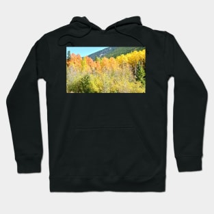 Colorado Fall Colors in the Aspen Trees Hoodie